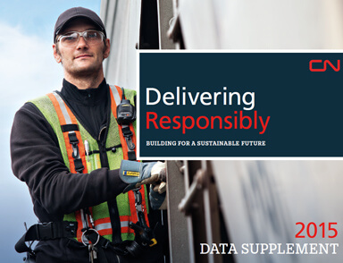 Delivering Responsibly Data Supplement 2015