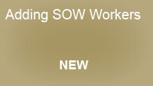 adding sow workers new