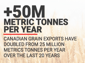 Over the last 20 year Canadian grain exports have doubled to over 50 million metric tonnes