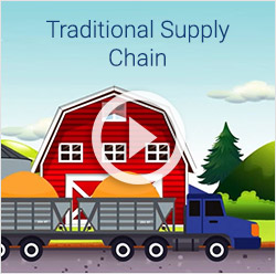 The Traditional Supply Chain