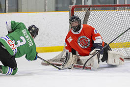 Hockey Helps the Homeless