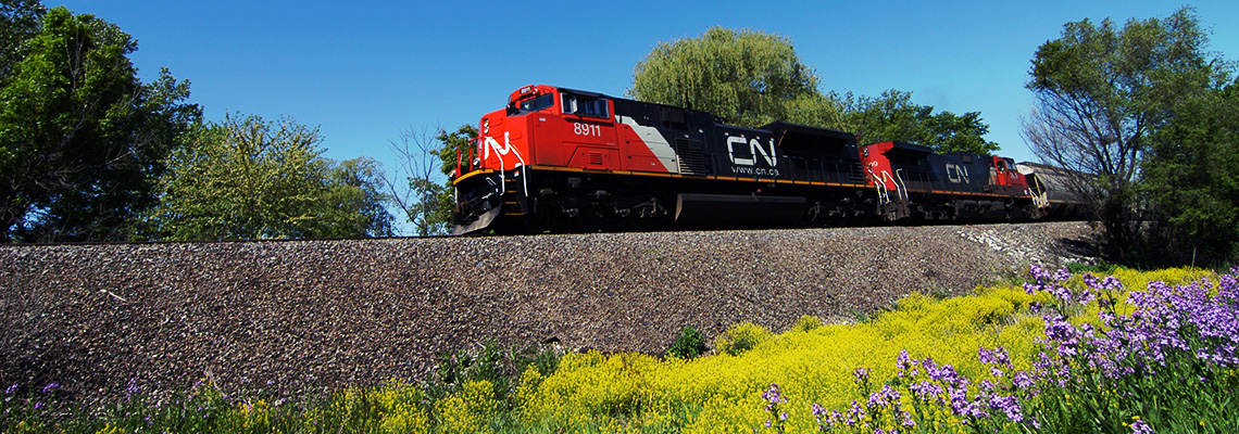 Vegetation Management at CN