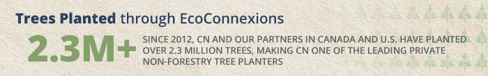 EcoConnexions