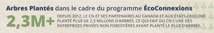 CN et ses partenaires au Canada et aux États-Unis ont planté plus de 2,3 millions d’arbres