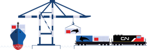 DRP Containers