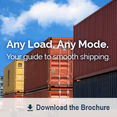 Download customs Brokerage Brochure