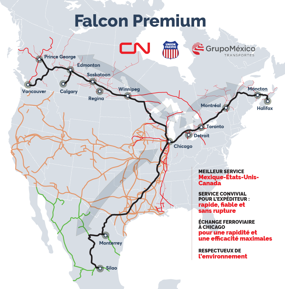 Carte du réseau Falcon Premium