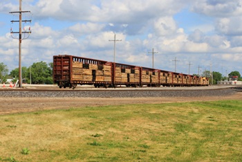 CN and Battle Lumber scale a tailored transload solution to meet growing market demand.